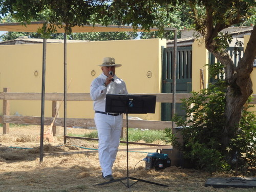 Peruvian Step Horse Show.